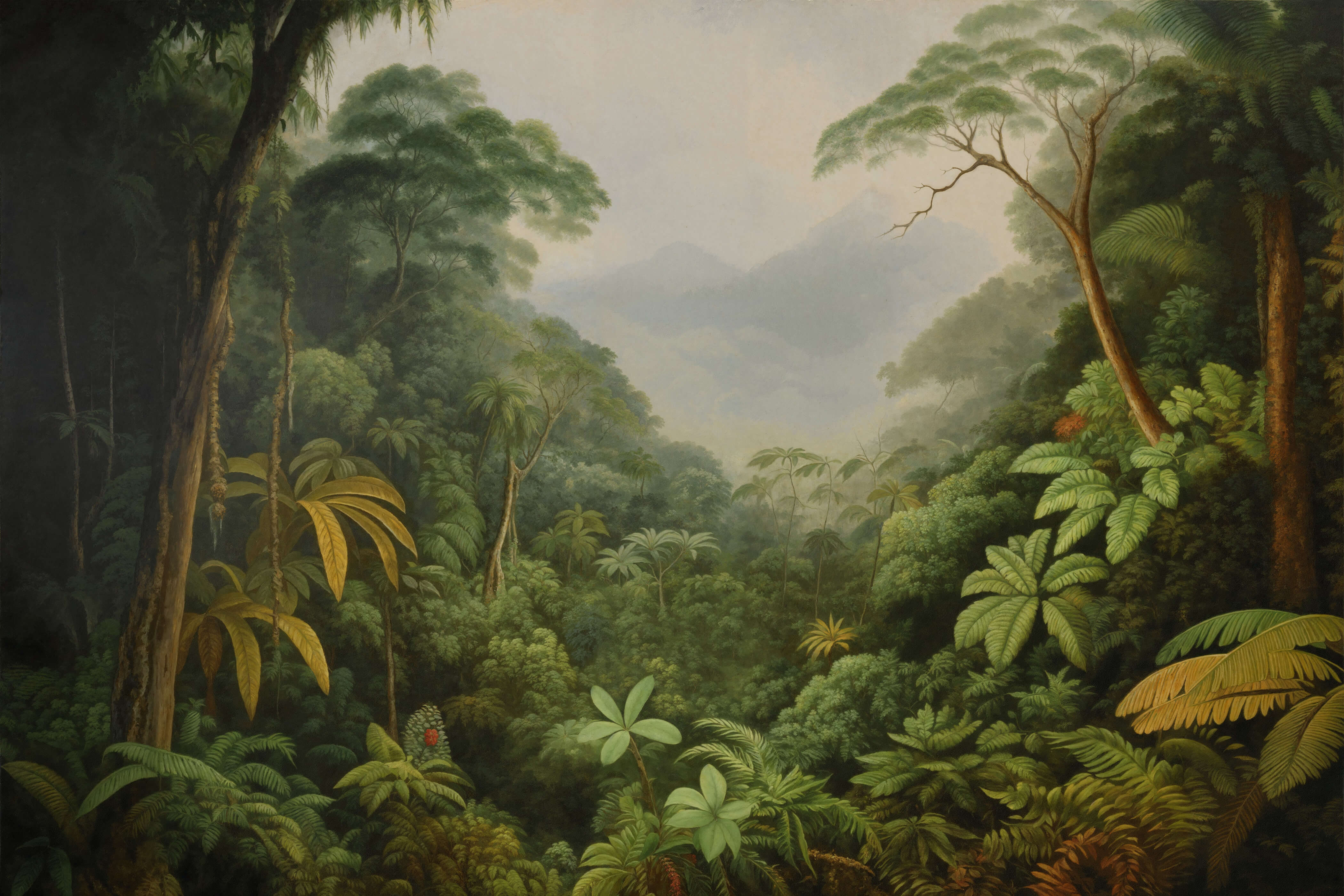 Viral beauty 7070 jungle wallpaper wallpapers with 0 downloads and 0 views