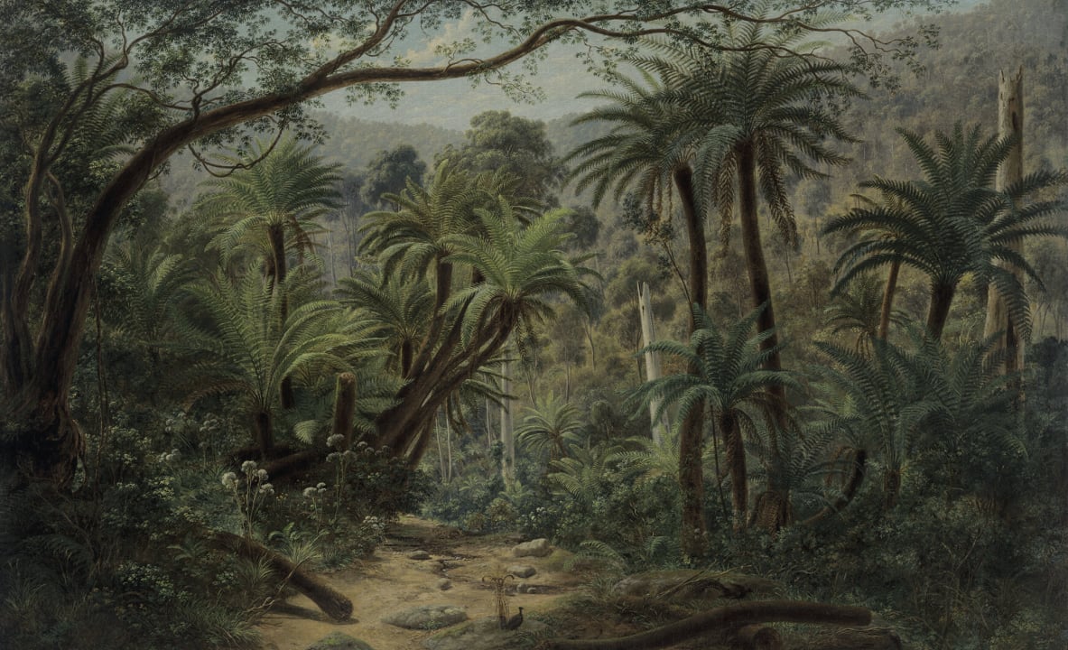 Breathe the cold jungle wallpaper wallpapers 7476 with 0 downloads and 0 views