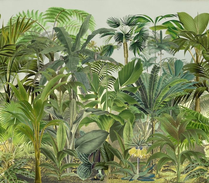 Rosy happy 7560 jungle wallpaper wallpapers visitors have downloaded 0 downloads and 0 views