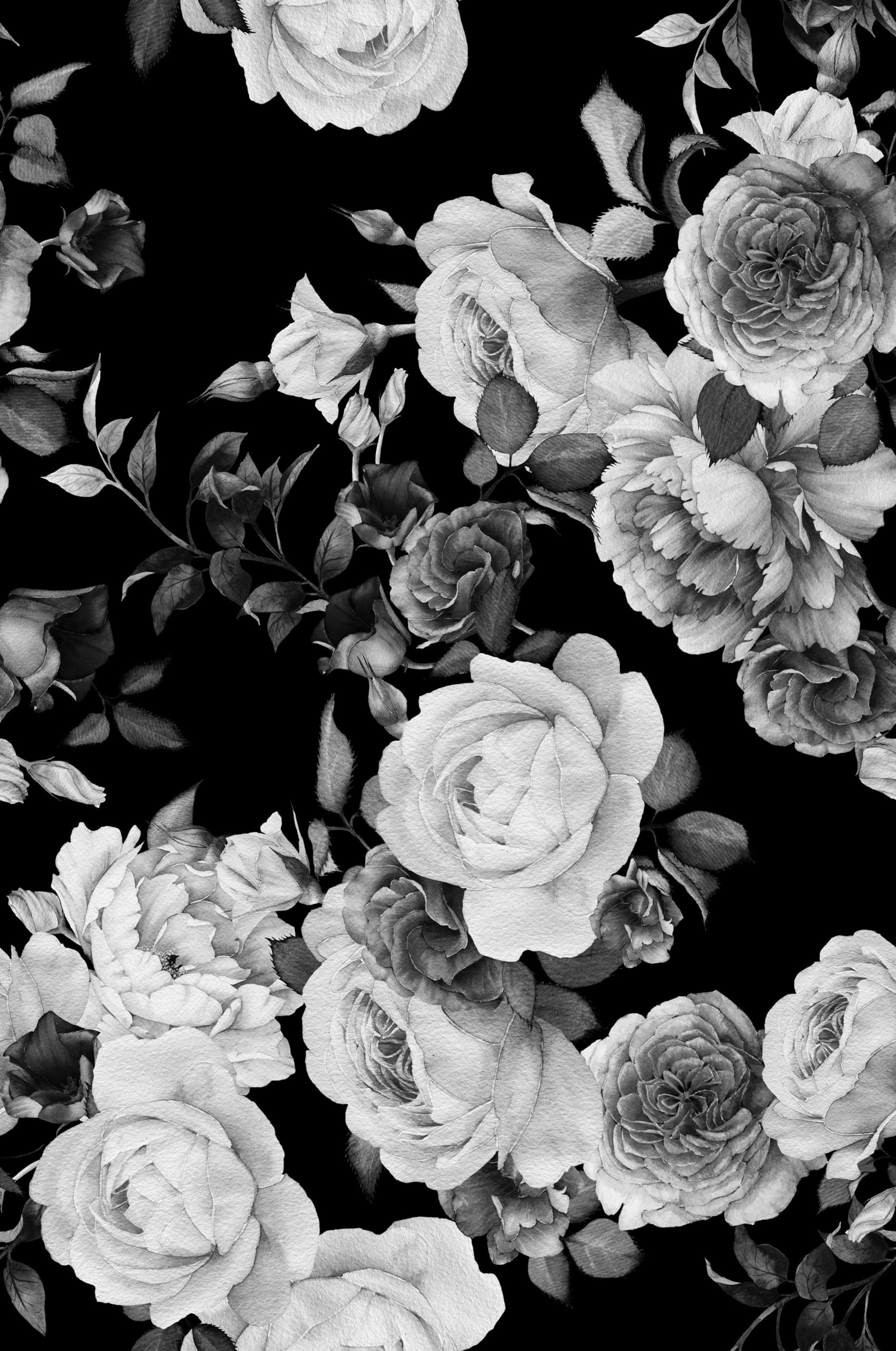 Devilish beautiful 9100 black and white wallpaper wallpapers downloaded  0 and viewed 0 times