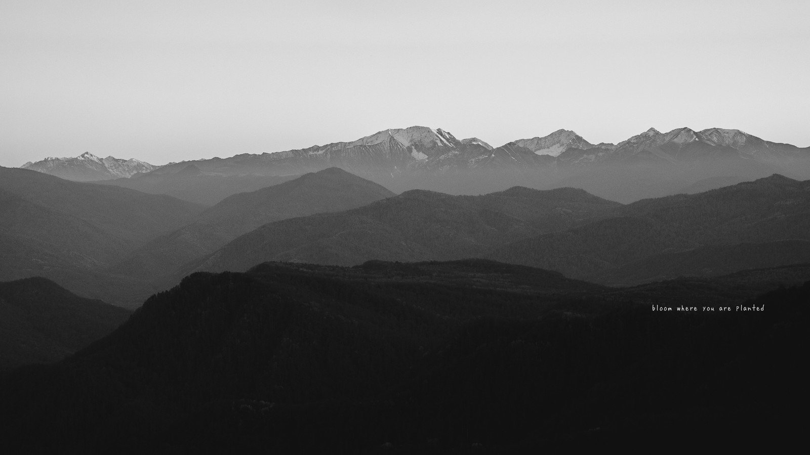 Mystify yourself with the beauty if 9422 black and white wallpaper wallpapers with 0 downloads and 0 views