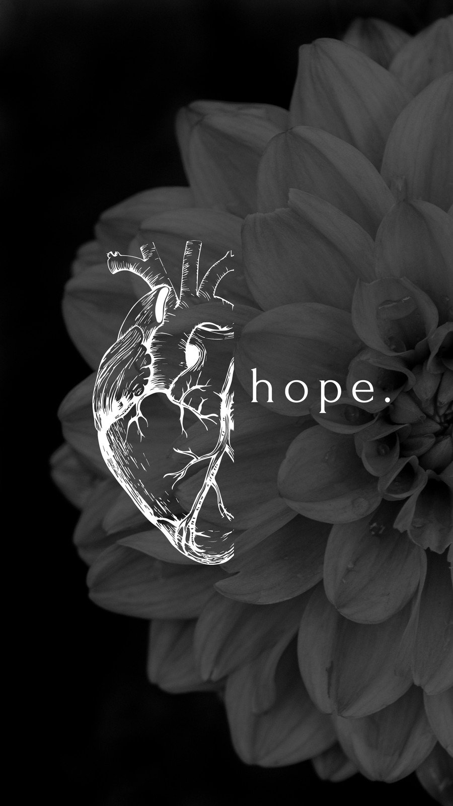 9562 wallpapers of cute & amusing black and white wallpaper