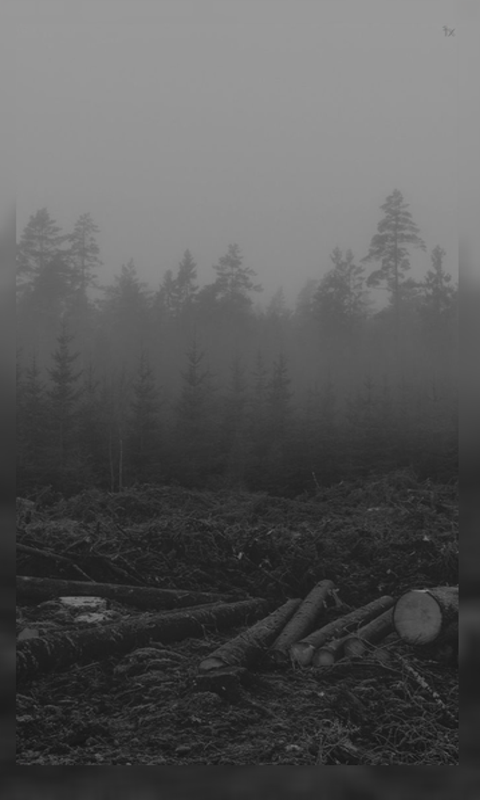 Awfully funny 9618 black and white wallpaper wallpapers with 0 downloads and 0 views