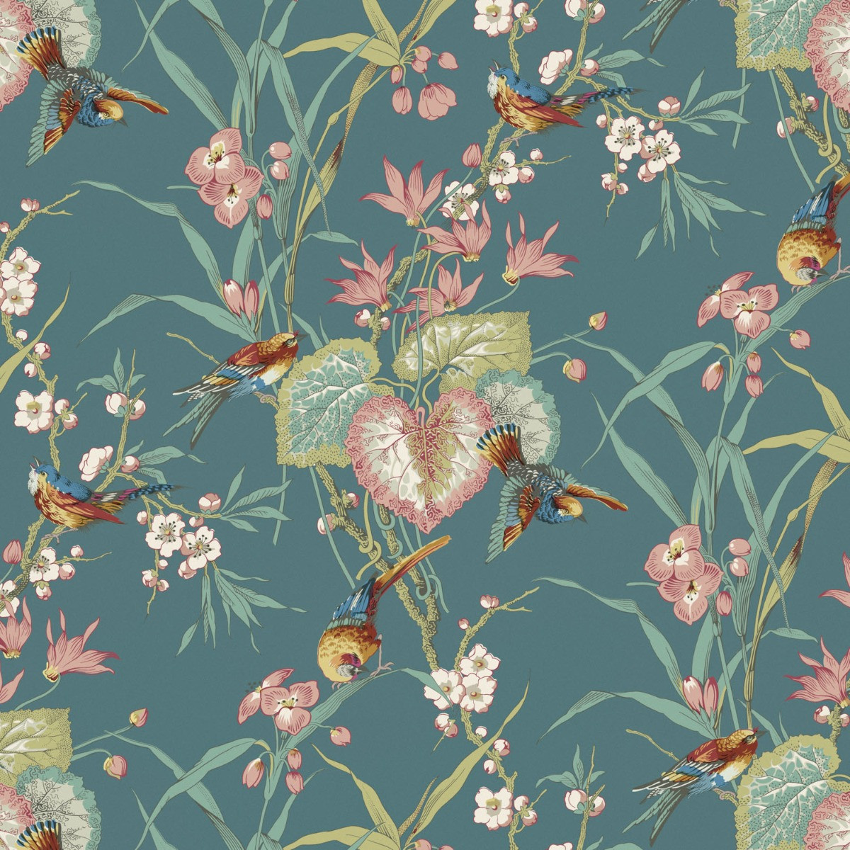 10570 wallpapers with a lucky jovial bird wallpaper