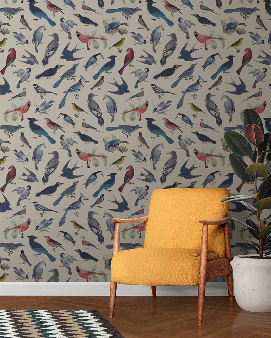 Frosty cold 10598 bird wallpaper wallpapers with 0 downloads and 0 views