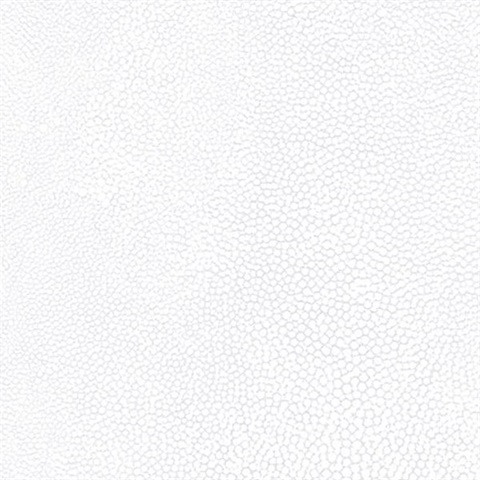 Cool and calm 924 white wallpaper wallpapers with 0 downloads and 0 views