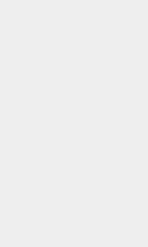 Enigmatic misty 994 white wallpaper wallpapers with 0 downloads and 0 views