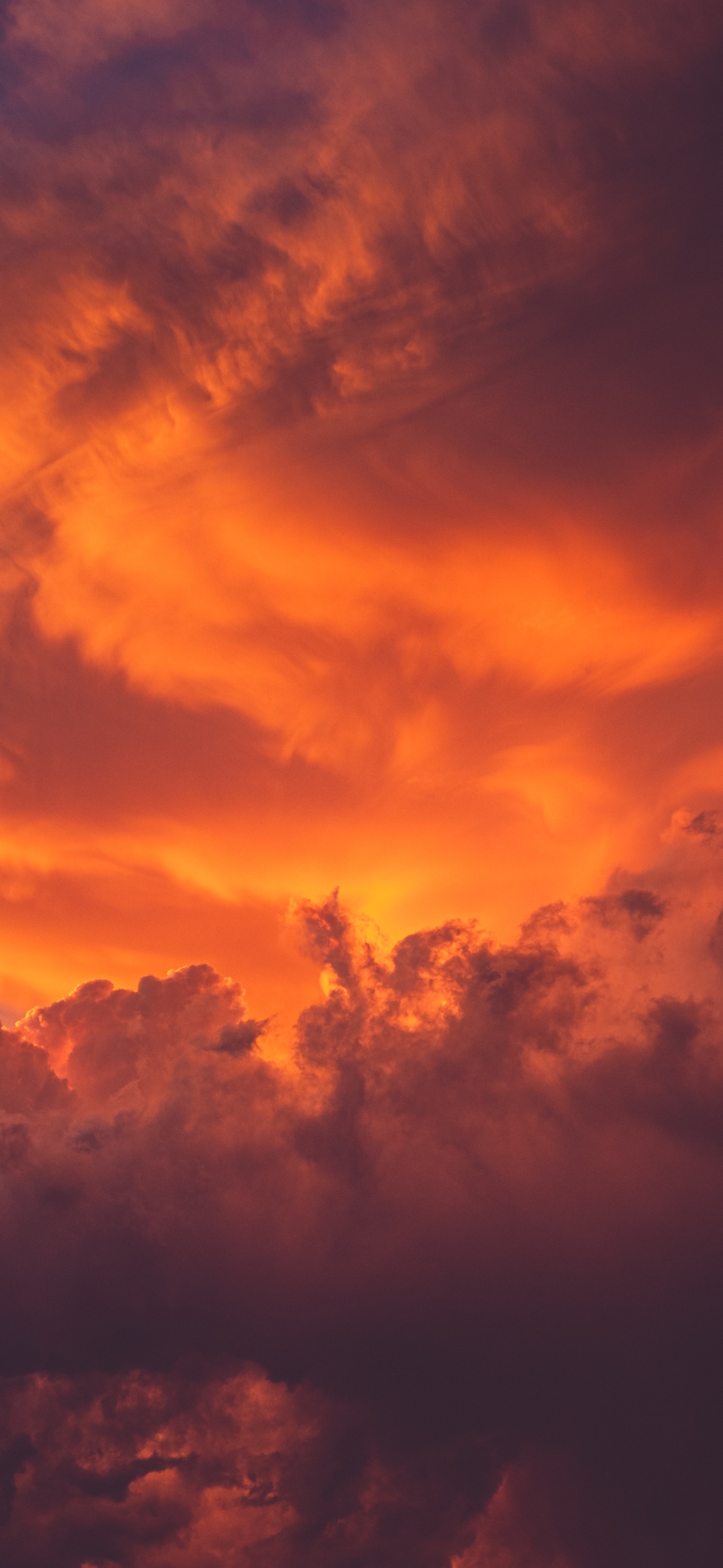 A glimpse of joy in 11494 orange wallpaper wallpapers downloaded 0 times