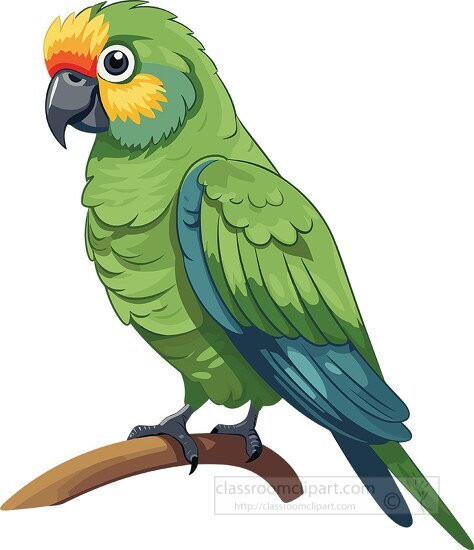 birds clipart