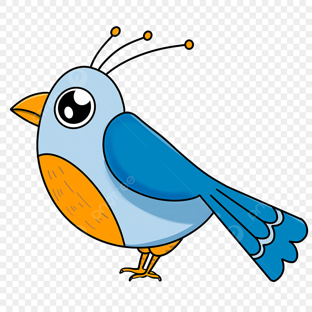 birds clipart