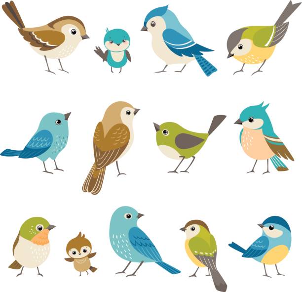 birds clipart