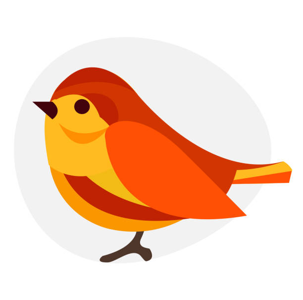 birds clipart