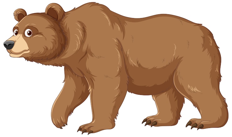 bear clipart