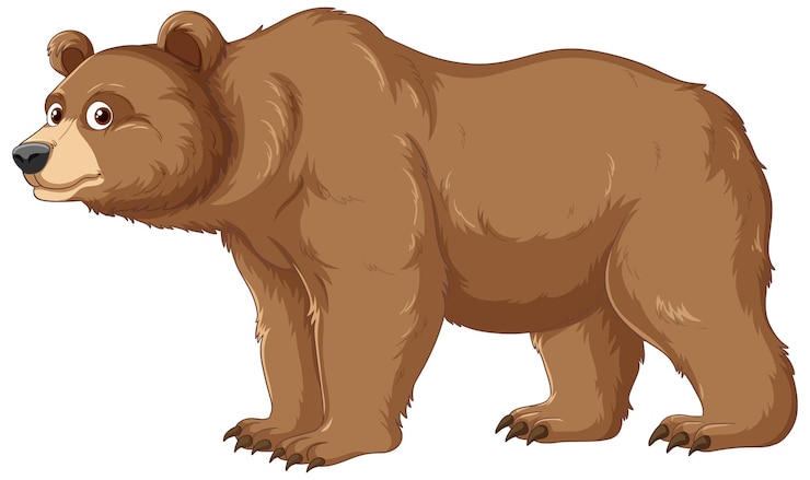 bear clipart