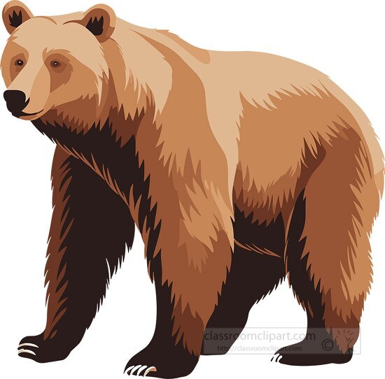 bear clipart