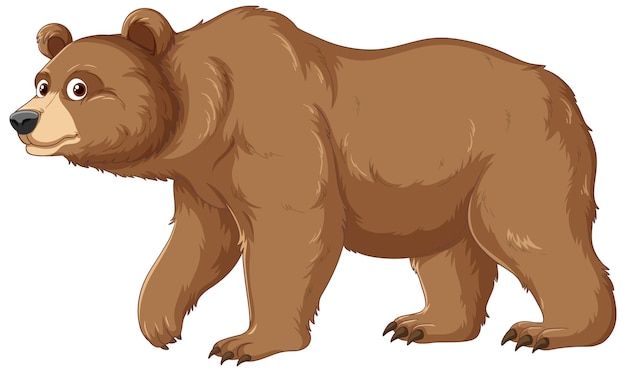 bear clipart