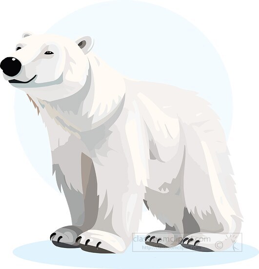 bear clipart