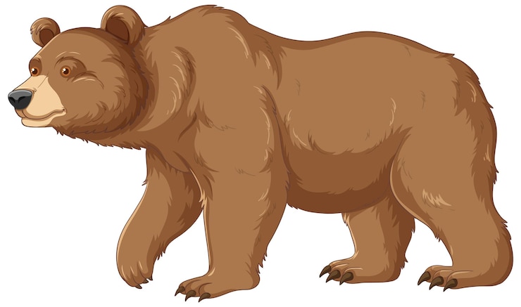 bear clipart