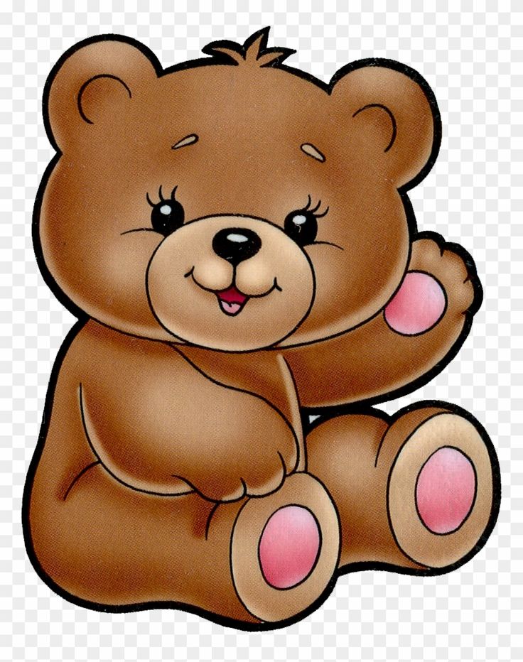 bear clipart