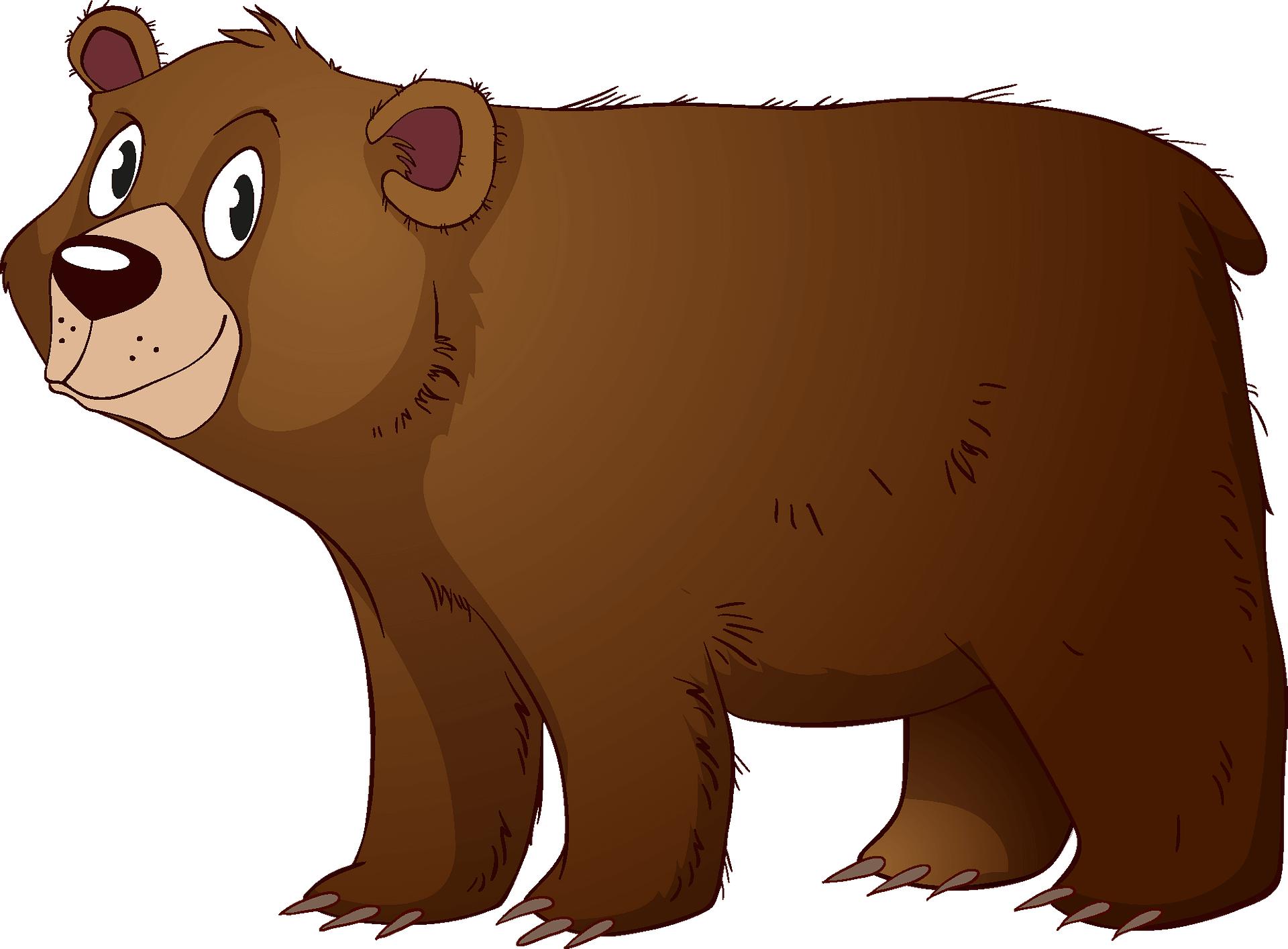 bear clipart