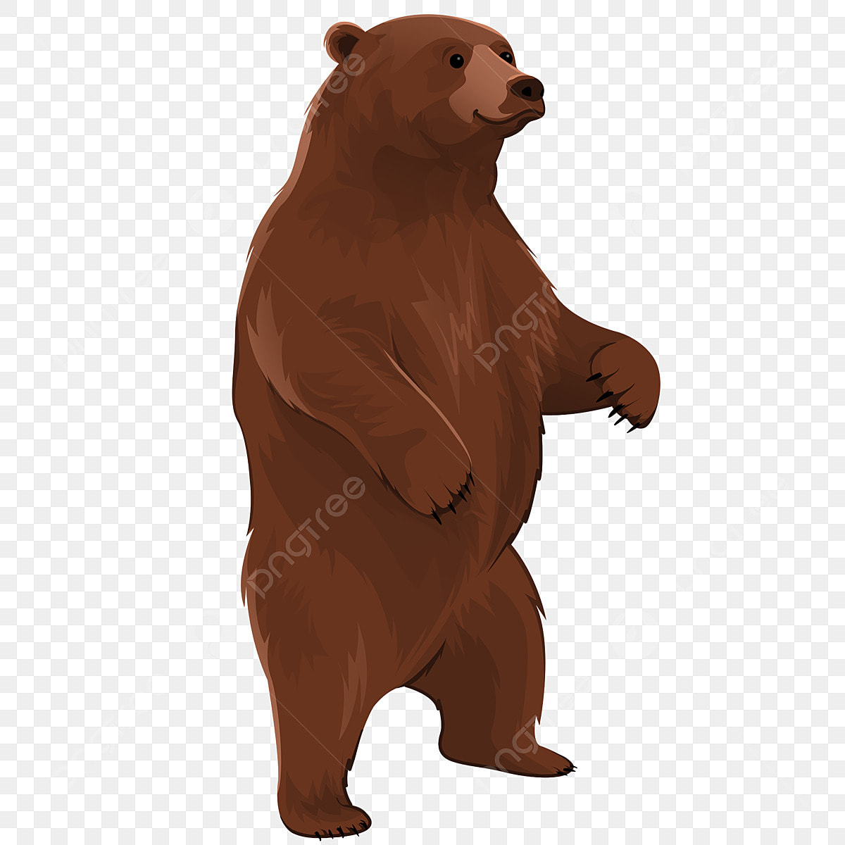 bear clipart