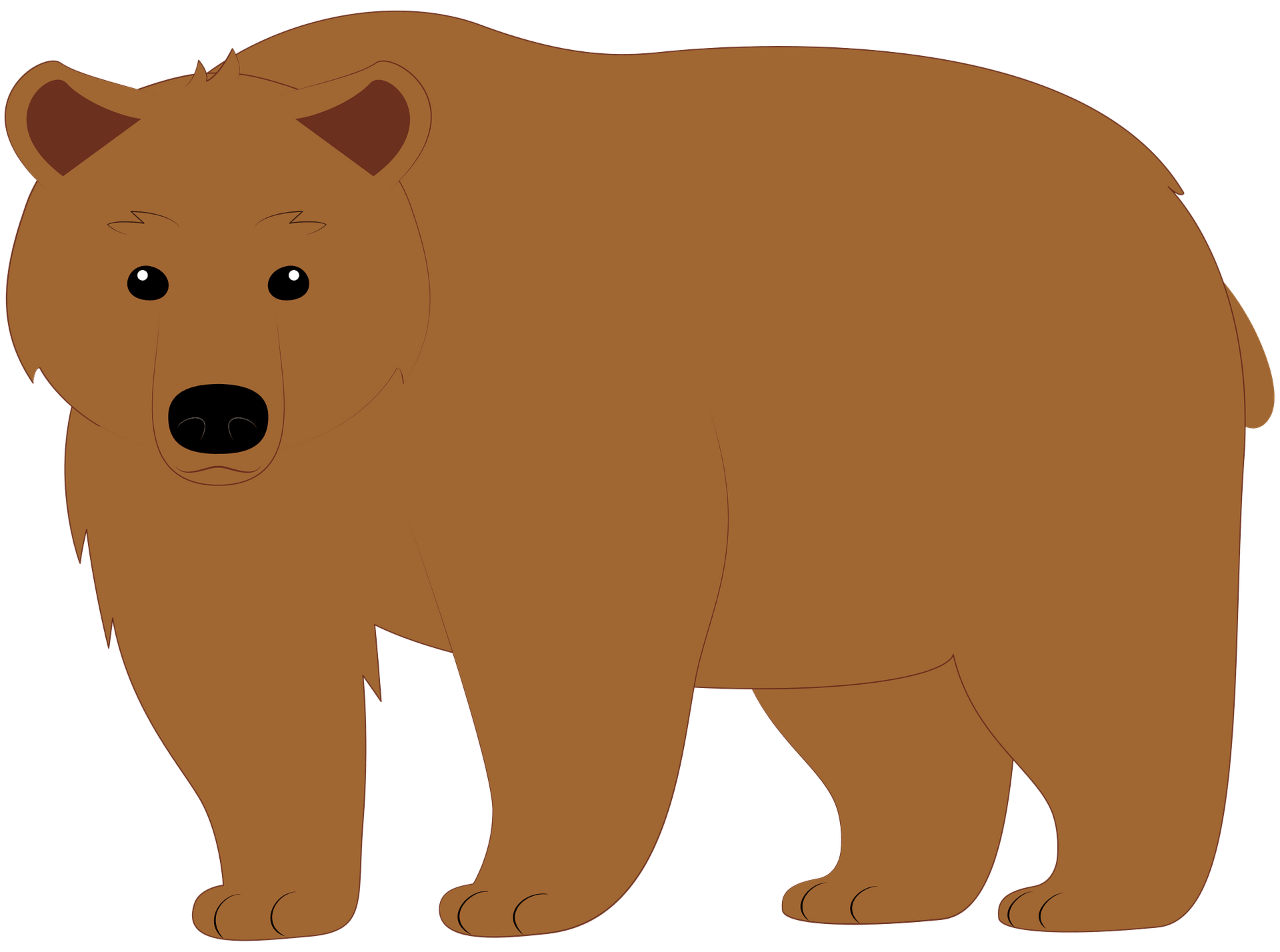 bear clipart