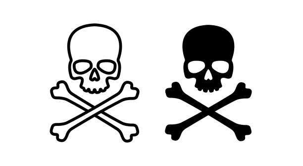 skull clipart