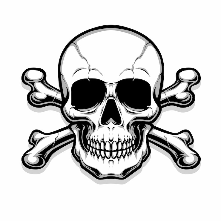 skull clipart