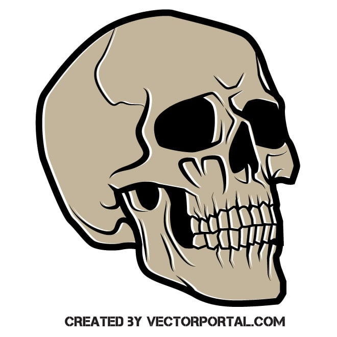 skull clipart