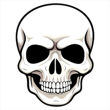 skull clipart