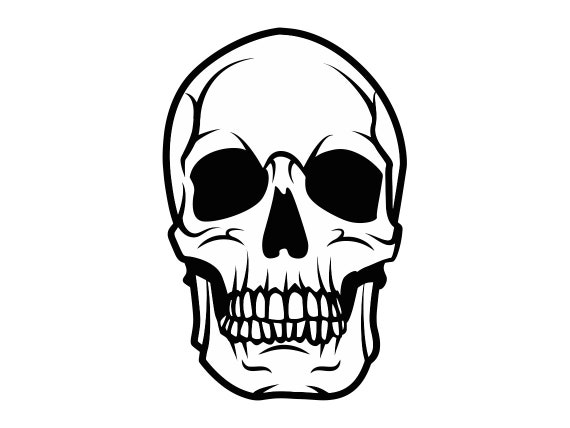 skull clipart