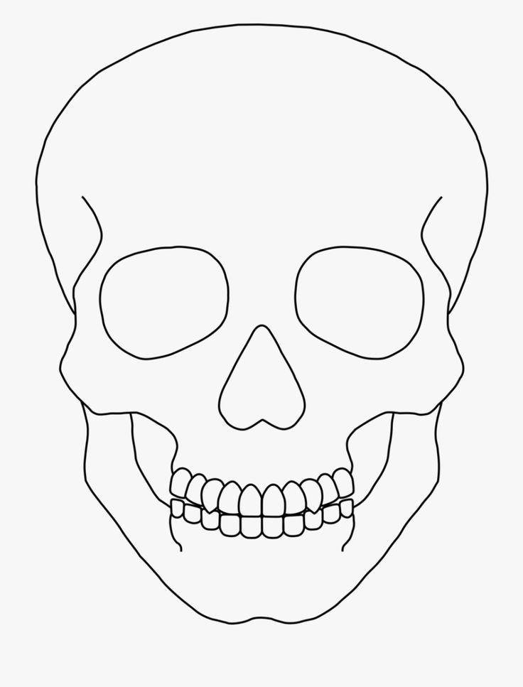 skull clipart