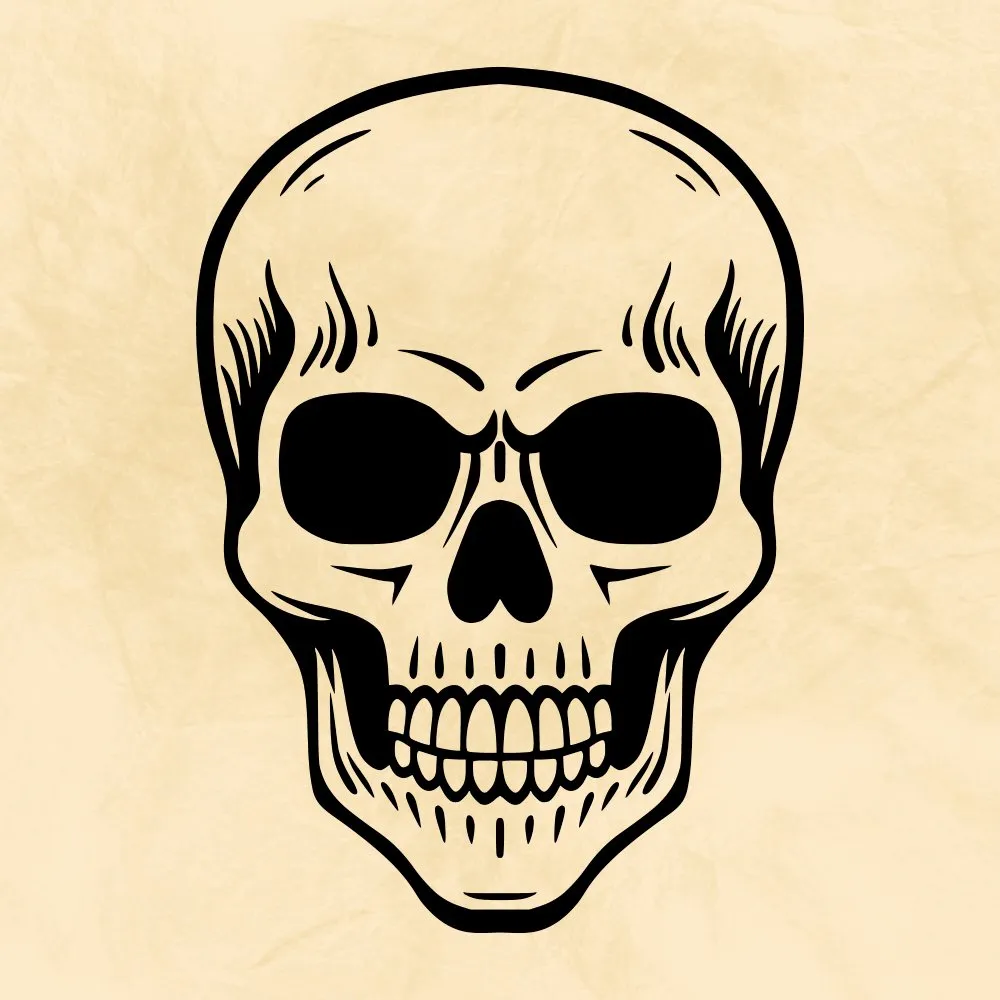 skull clipart