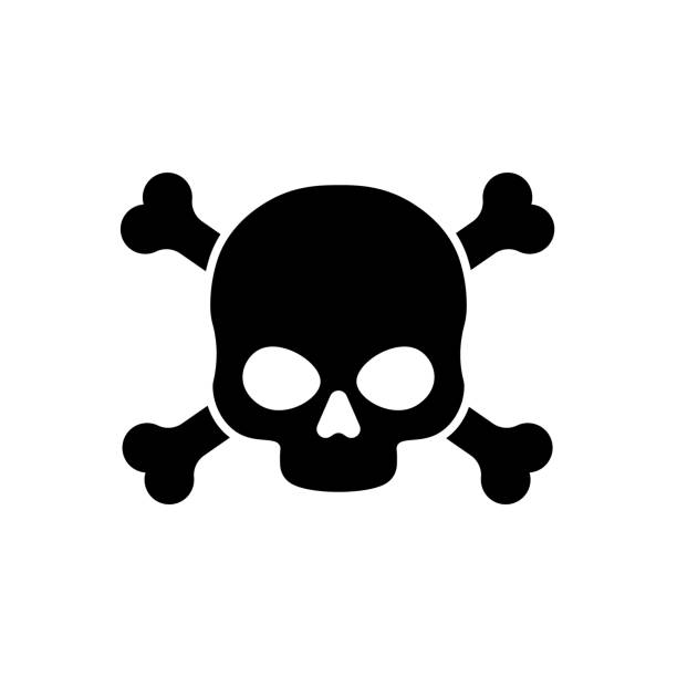 skull clipart