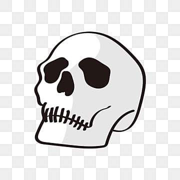 skull clipart