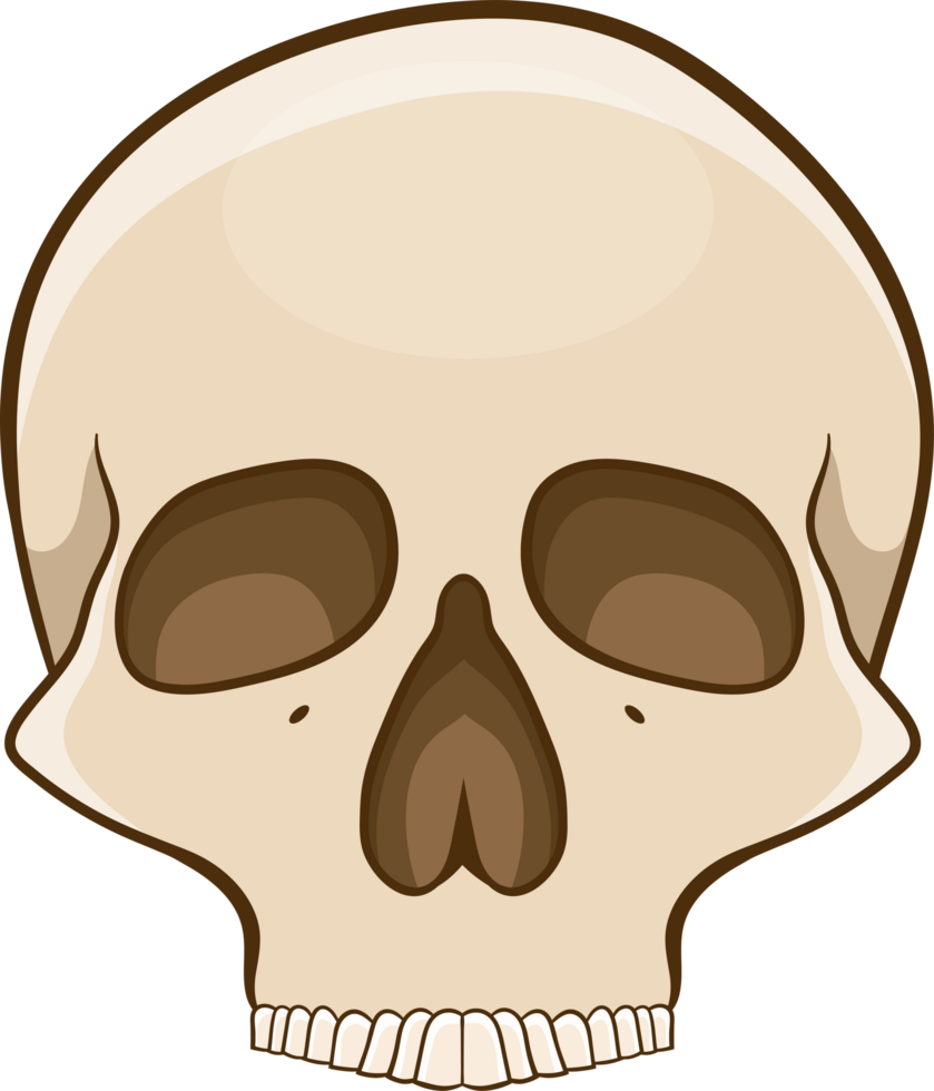 skull clipart