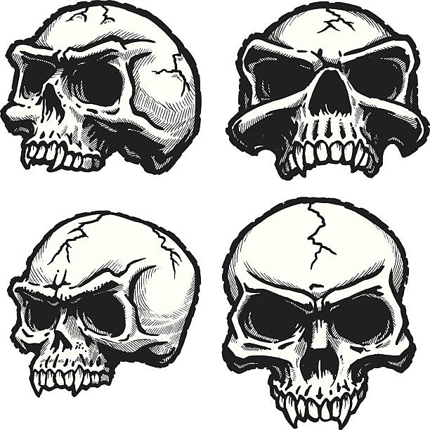 skull clipart
