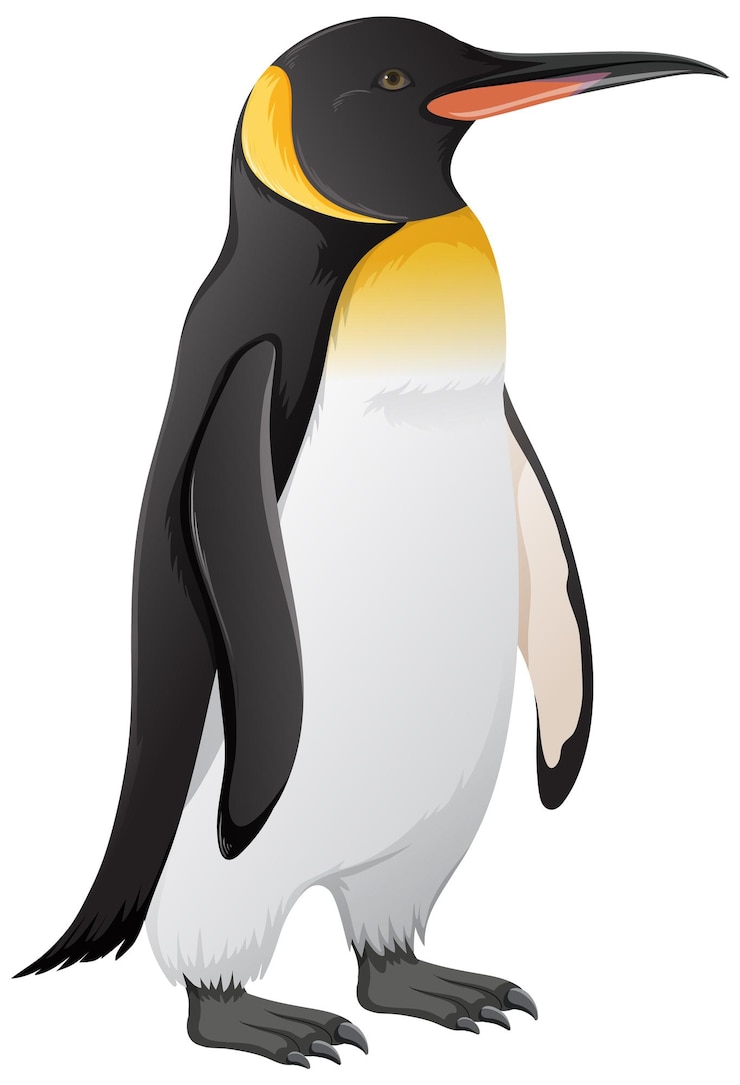 penguin clipart