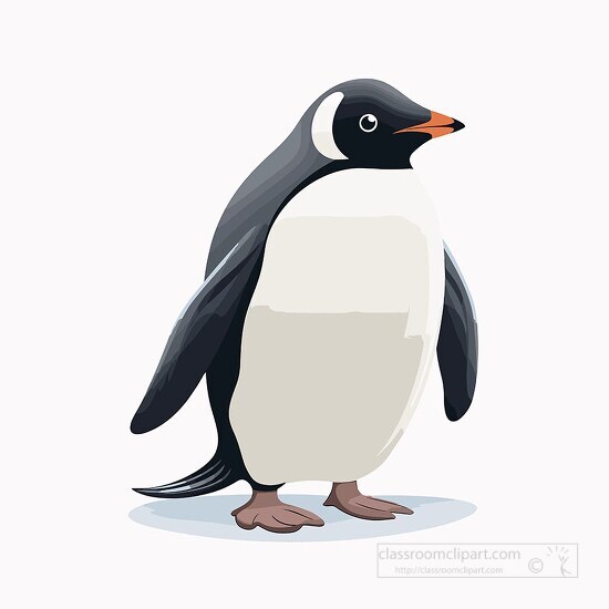 penguin clipart