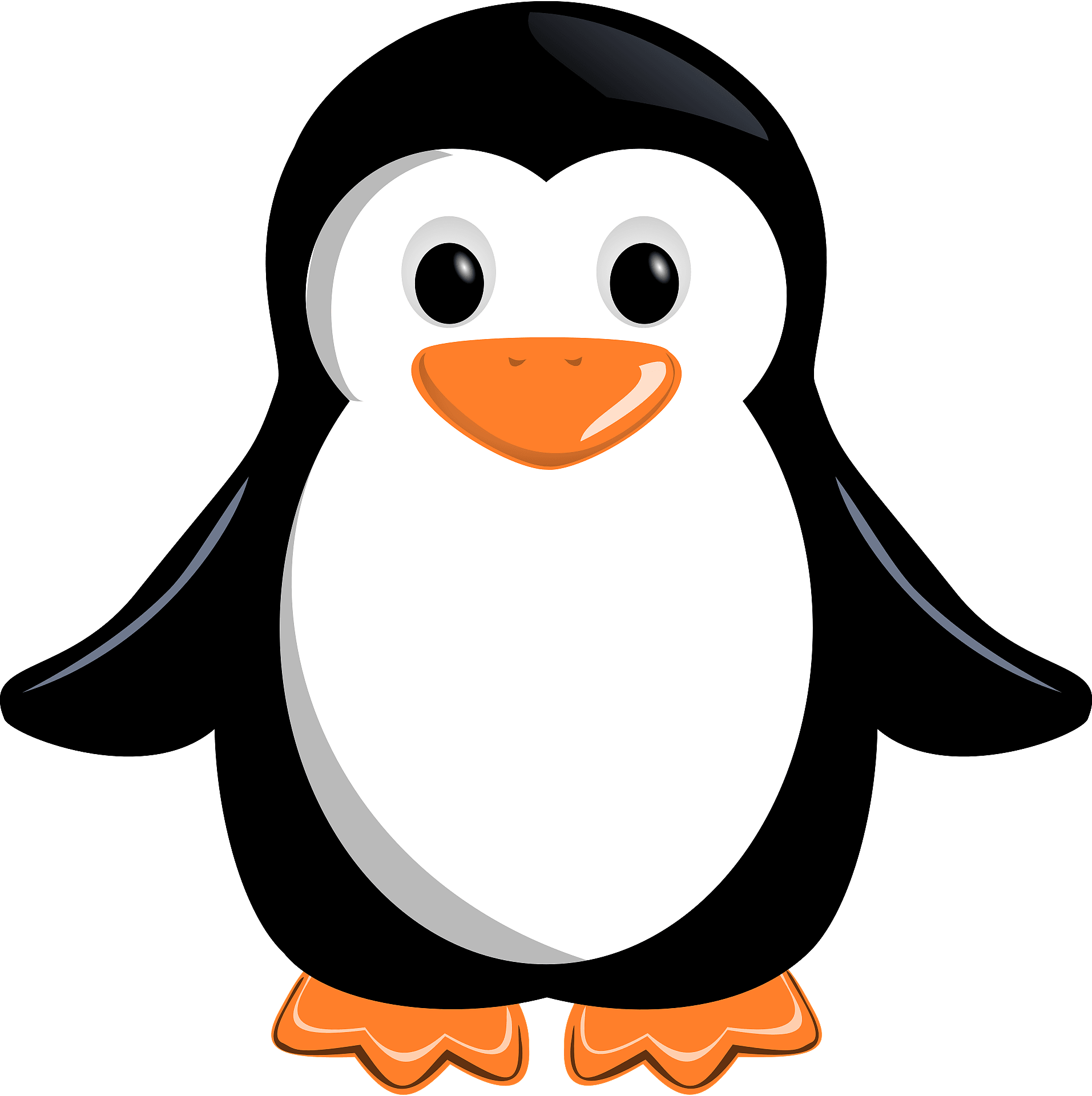 penguin clipart