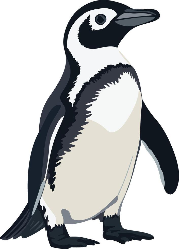 penguin clipart