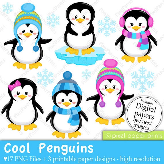 penguin clipart