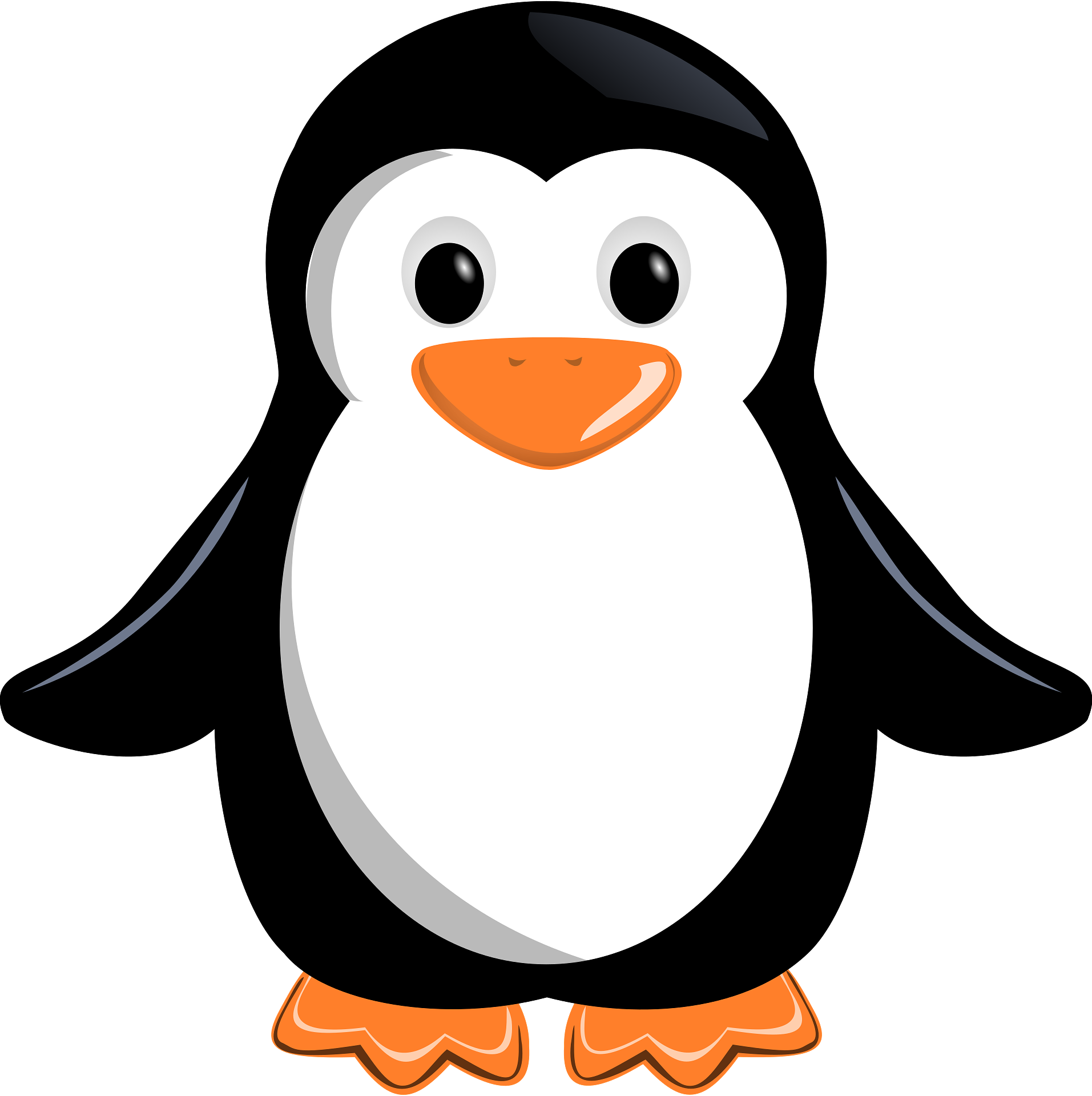 penguin clipart