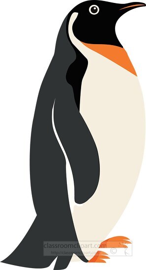 penguin clipart