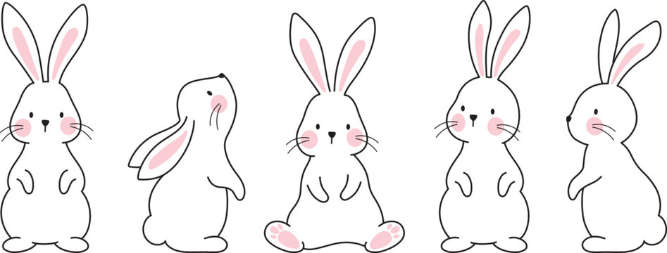 bunny clipart