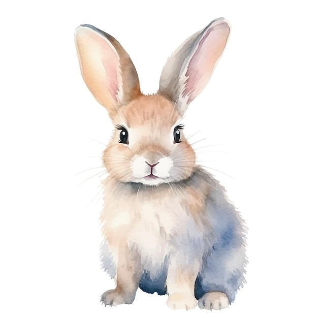 bunny clipart