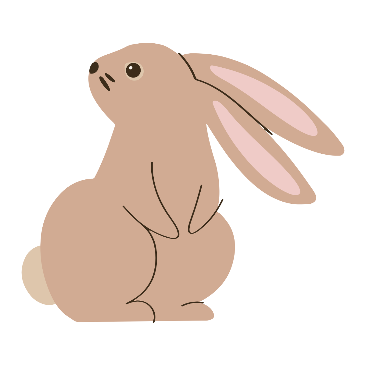 bunny clipart