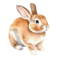 bunny clipart