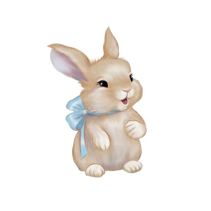 bunny clipart