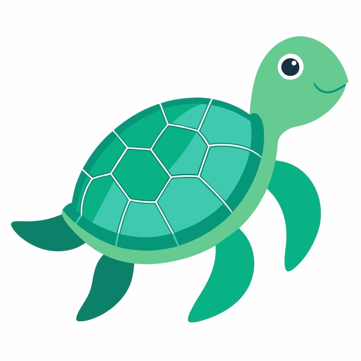 turtle clipart